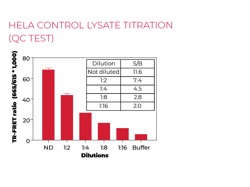 HeLa control lysate titration (QC Test)