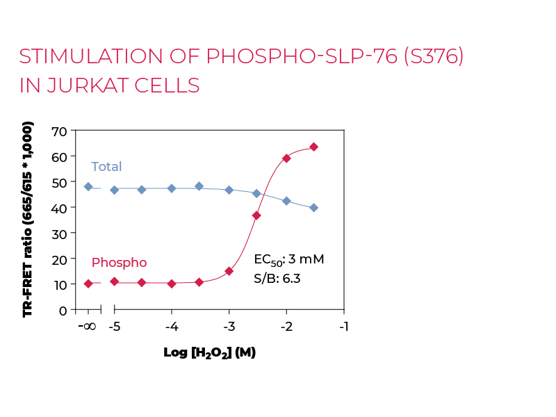 Stimulation of Phospho-SLP-76 (S376) in Jurkat cells