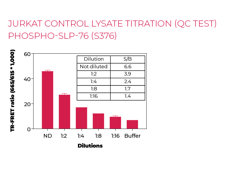 Jurkat control lysate titration (QC Test) Phsopho-SLP-76 (S376)