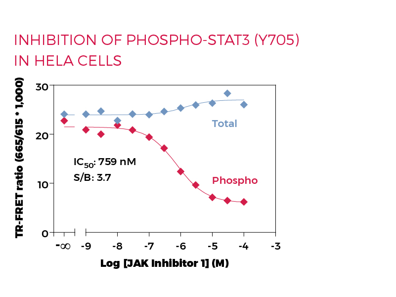 Inhibition of Phospho-STAT3 (Y705) in HeLa cells