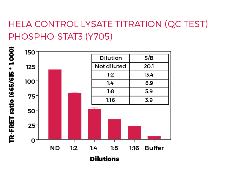 HeLa control lysate titration (QC Test) Phospo-STAT3 (Y705)