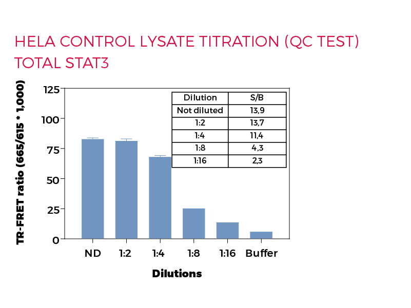 HeLa control lysate titration (QC Test) Total STAT3