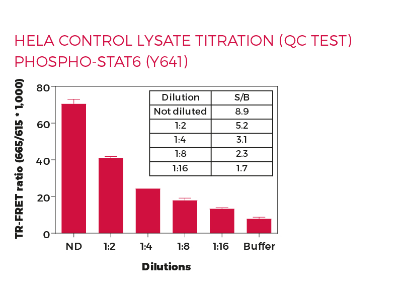HeLa control lysate titration (QC Test) Phospho-STAT6 (Y641