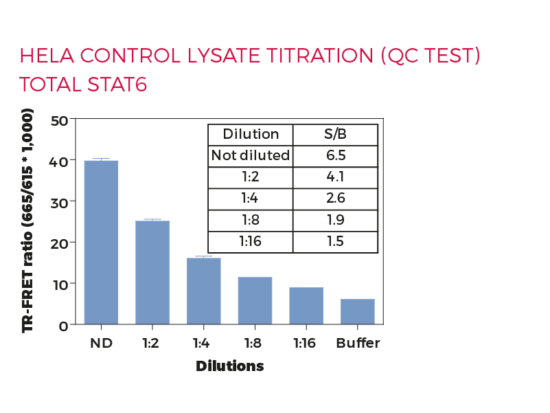 HeLa control lysate titration (QC Test) Total STAT6