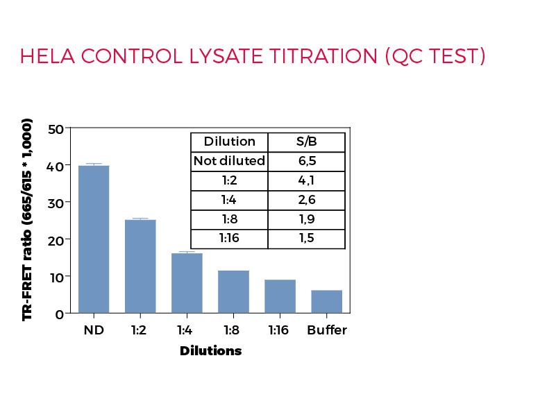HeLa control lysate titration (QC test)