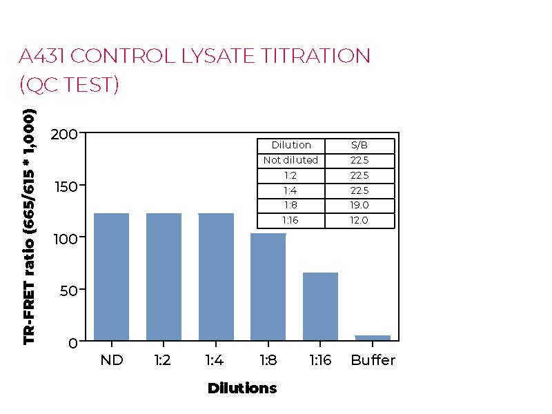 A431 control lysate titration (QC Test)
