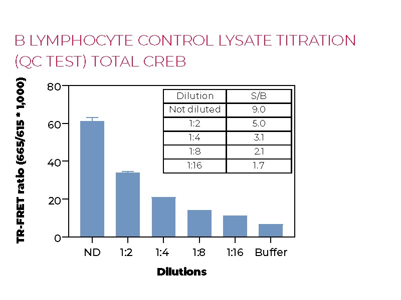 B lymphocyte control lysate titration (QC-test) Total CREB