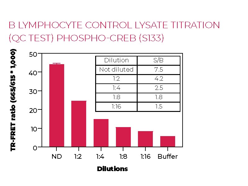 B lymphocyte control lysate titration (QC Test) Phospho CREB (S133)