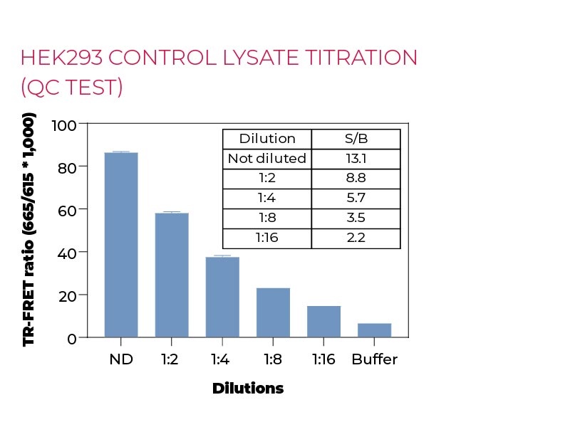 HEK293 control lysate titration (QC Test)