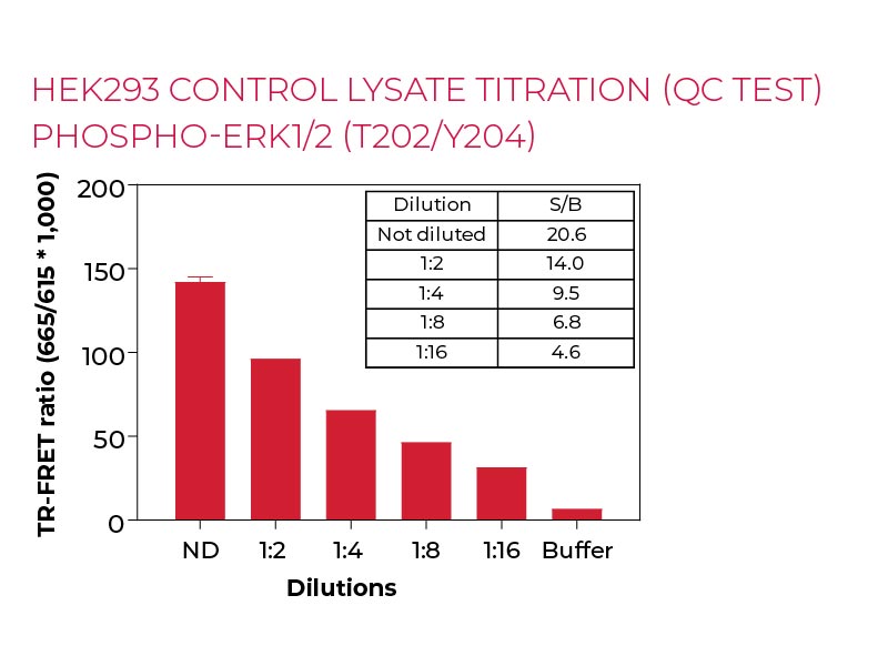 HEK293 control lysate titration (QC Test) Phospho-ERK1-2 (T202-Y204)