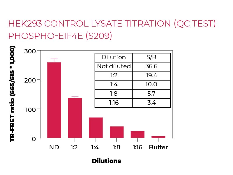 HEK293 control lysate titration (QC Test) Phospho-eIF4E (S209