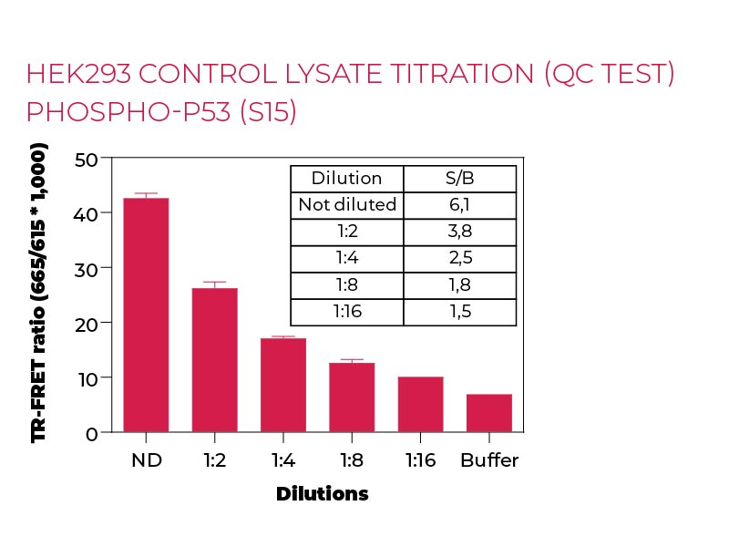 HEK293 control lysate titration (QC Test) Phospho-P53(S15)