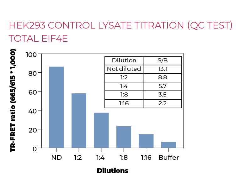 HEK293 control lysate titration (QC Test) Total eIF4E