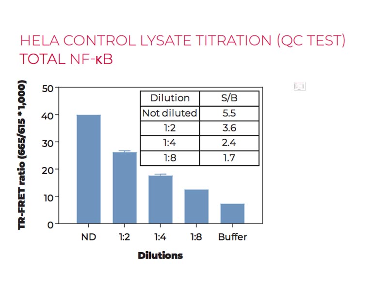 HeLa control lysate titration (QC Test) total NF-kB