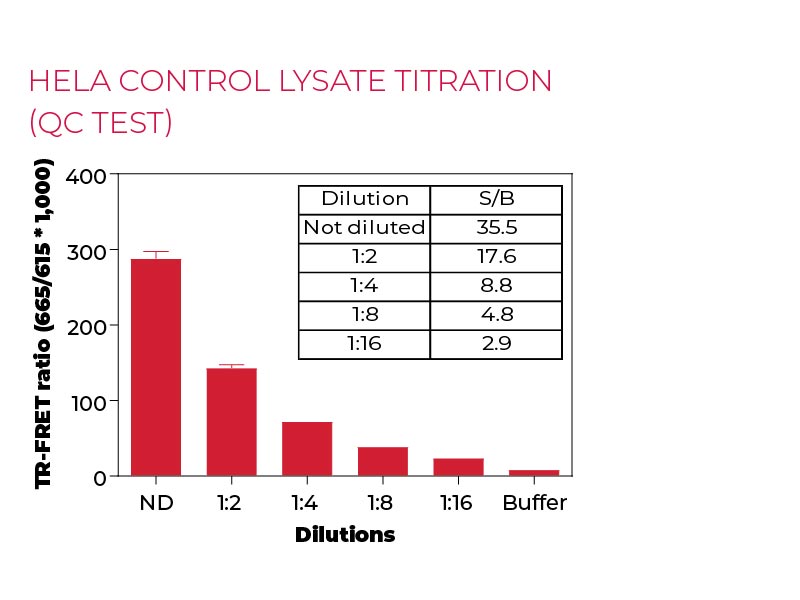 HeLa Control lysate titration (QC Test)