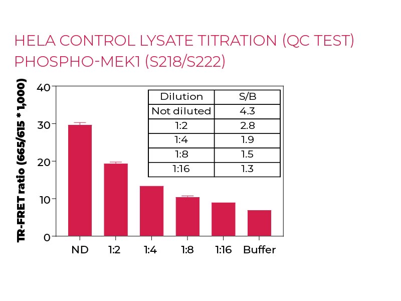 HeLa control lysate titration (QC Test) Phospho-MEK1 (S218-S222)