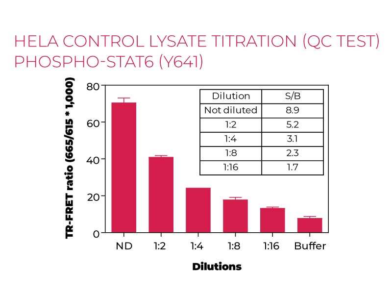 HeLa control lysate titration Phospo-STAT6 (Y641)
