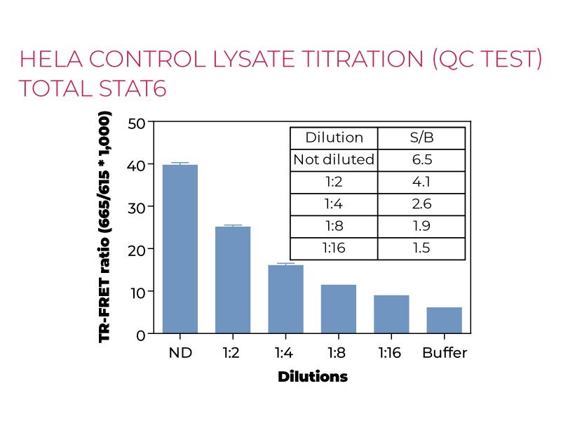HeLa control lysate titration Total STAT6