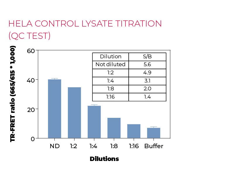 HeLa control lysate titration (QC Test)