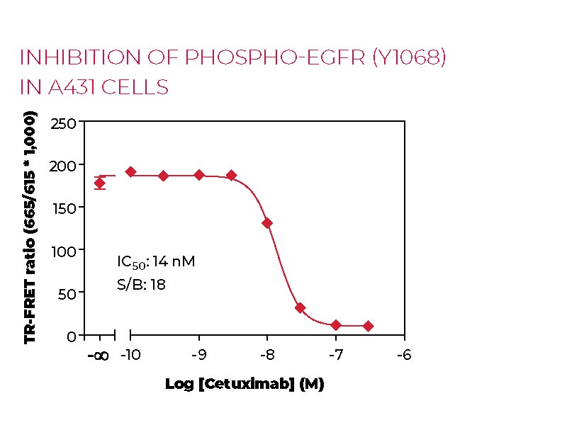 Inhibition of Phospho-EGFR (Y1068) in A431 cells