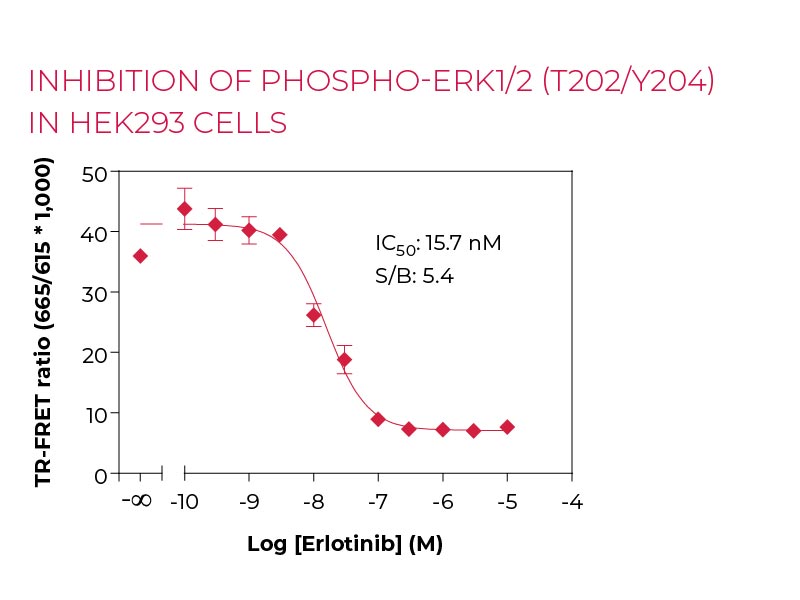 Inhibition of Phospho-ERK1-2 (T202-Y204) in HEK293 cells