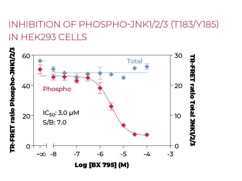 Inhibition of Phospho-JNK1-2-3 (T183-Y185) in HEK293 cells