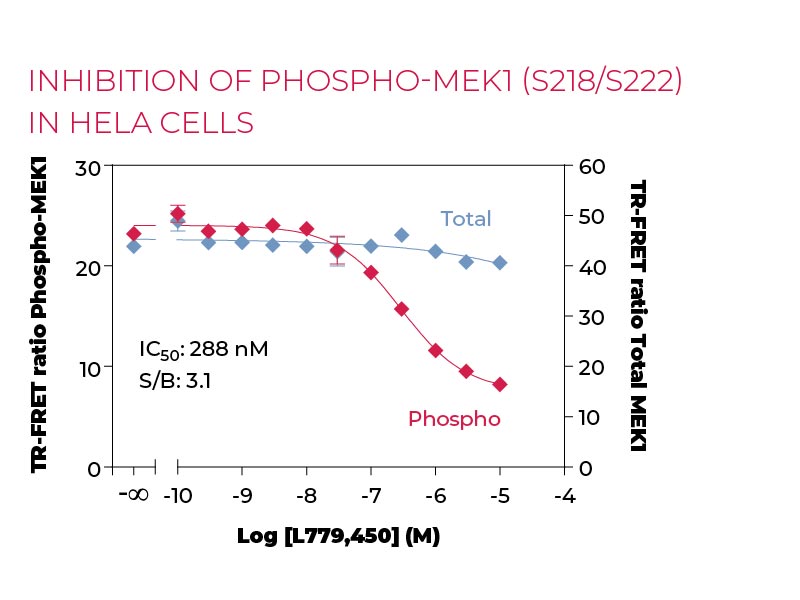 Inhibition of Phospho-MEK1 (S218-S222) in HeLa cells