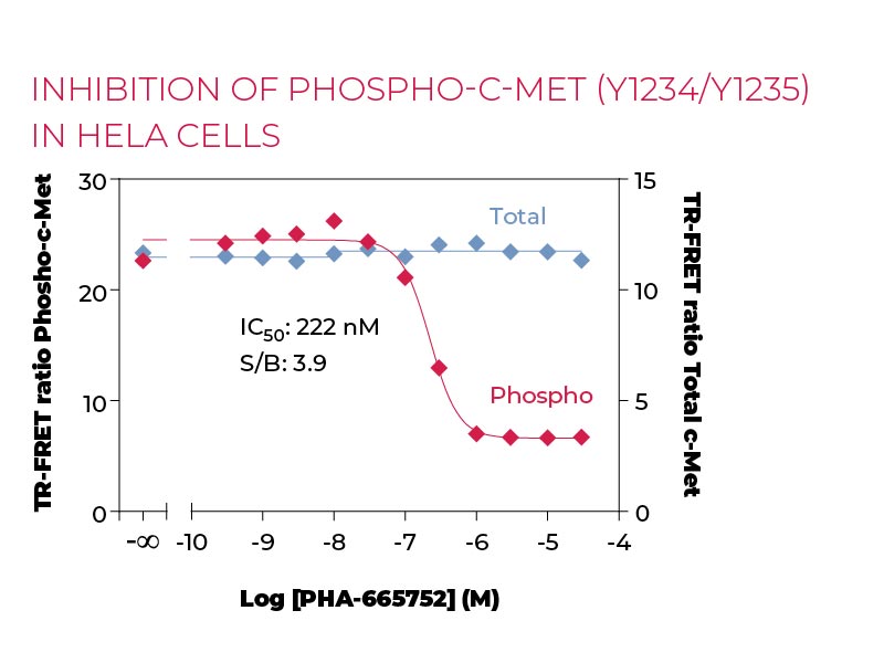 Inhibition of Phospho-c-Met (Y1234-Y1235) in HeLa cells