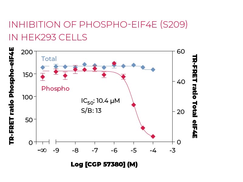 Inhibition of Phospho-eIF4E (S209) in HEK293 cells