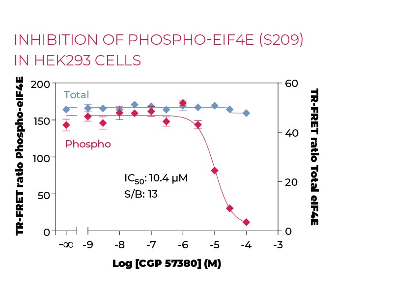 Inhibition of Phospho-eIF4E (S209) in HEK293 cells