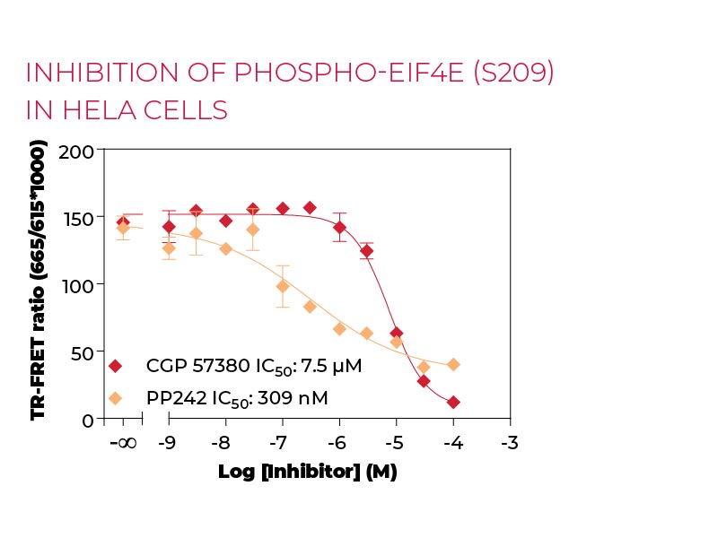 Inhibition of Phospho-eIF4E (S209) in HeLa cells