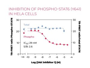 Inhibition of phospho-STAT6 (Y641) in HeLa cells