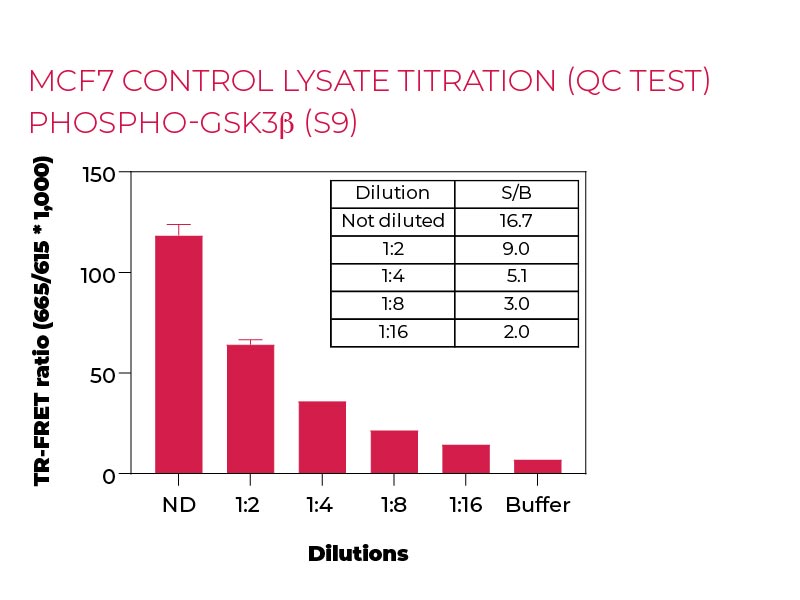 MCF7 control-lysate titration (QC Test) Phospho-GSK3β (S9)