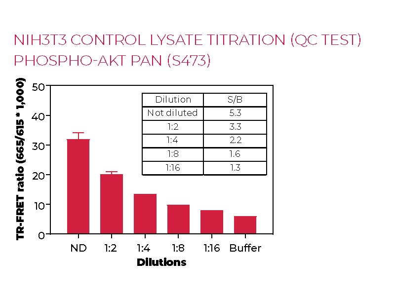 NIH3T3 contro lysate titration (QC test) Phospho-AKT pan (S473)
