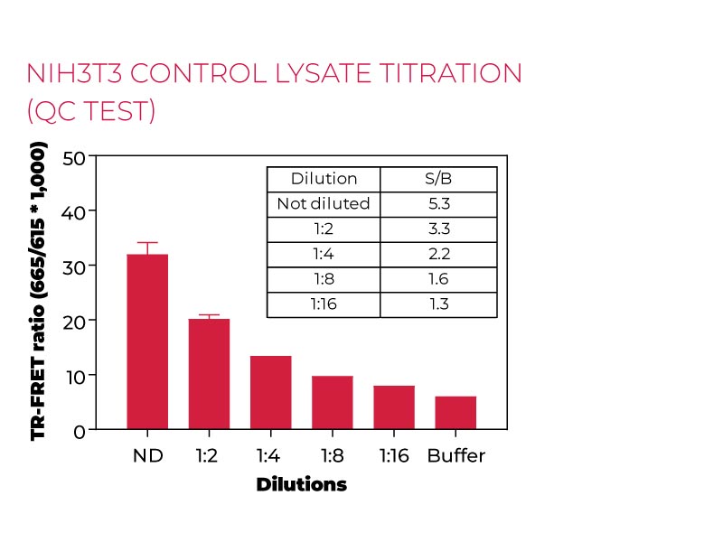 NIH3T3 control lysate titration