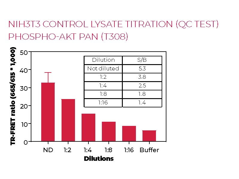 NIH3T3 control lysate titration (QC test) Phospho-AKT pan (T308)