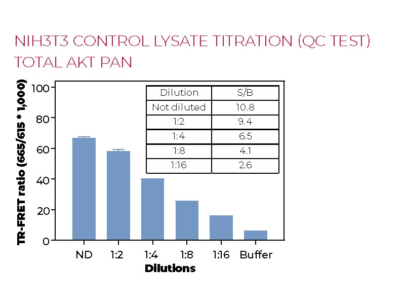NIH3T3 control lysate titration (QC test) Total AKT pan