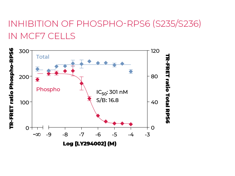 Inhibition of Phospho-RPS6 (S235/S236) in MCF7 cells