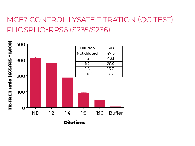 MCF7 control lysate titration (QC Test) Phospho-RPS6 (S235/S236)