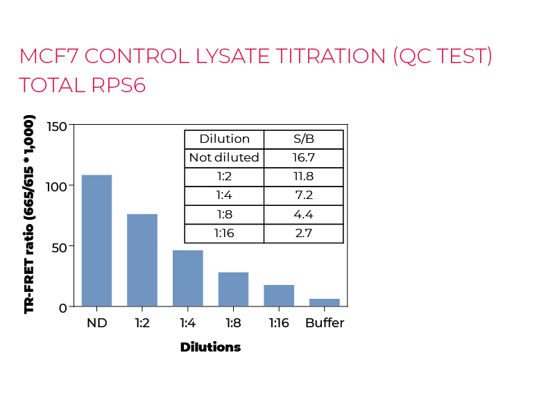 MCF7 control lysate titration (QC Test) total RPS6