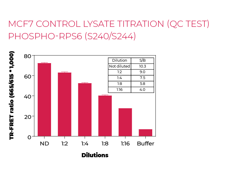 MCF7 control lysate titration (QC Test) Phospho-RPS6 (S240/S244)
