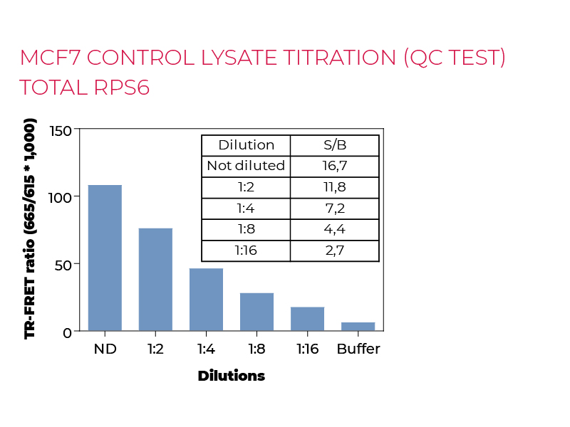 MCF7 control lysate titration (QC Test) total RPS6