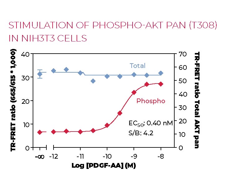 Stimulation of Phospho-AKT pan (T308) in NIH3T3 cells