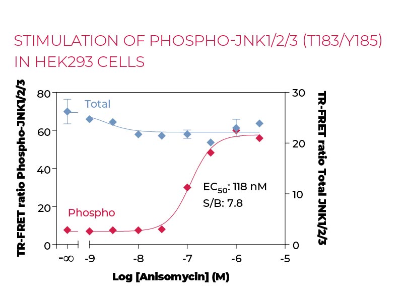 Stimulation of Phospho-JNK1-2-3 (T183-Y185) in HEK293 cells