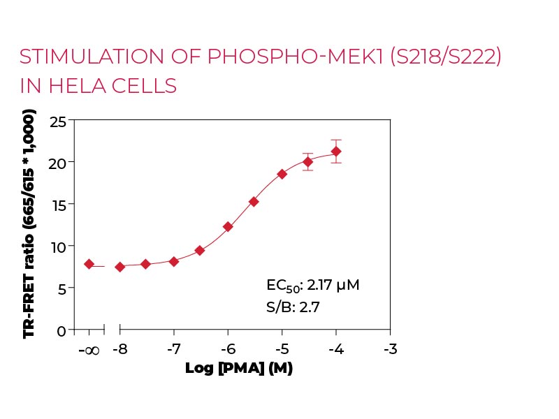 Stimulation of Phospho-MEK1 (S218-S222) in HeLa cells