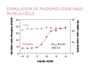 Bioauxilium-Stimulation-Phospho-STAT6-(Y641)-HeLa-cells