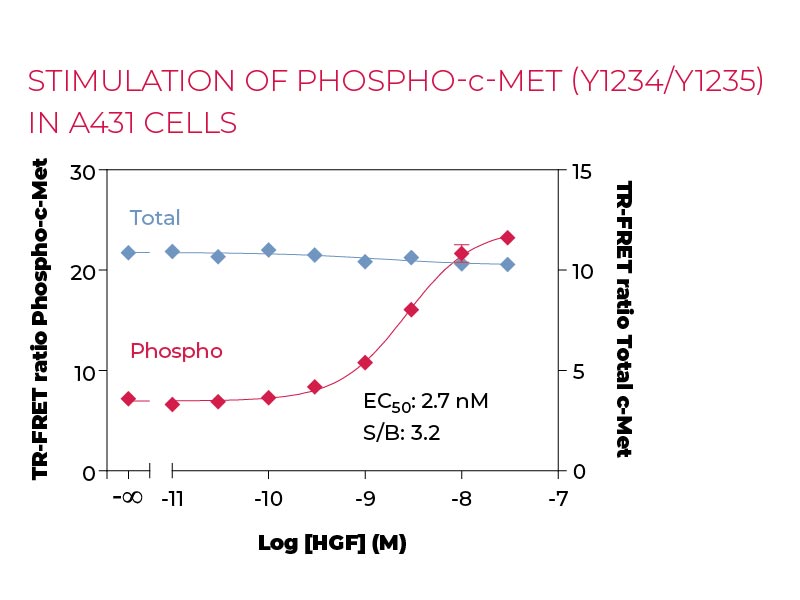 Stimulation of Phospho c-Met (Y1234-Y1235) in A431 cells