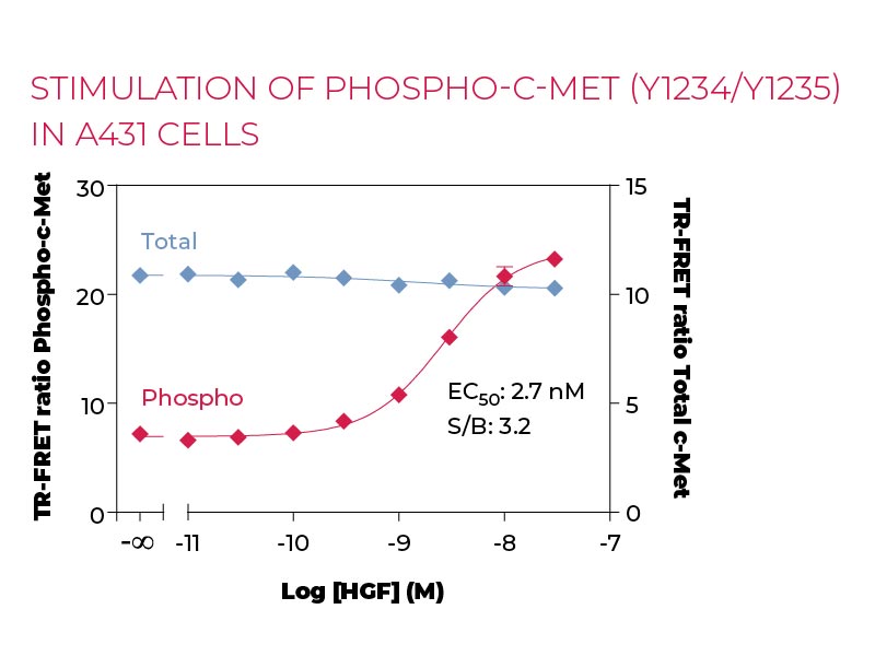 Stimulation of Phospho-c-Met (Y1234-Y1235) in A431 cells