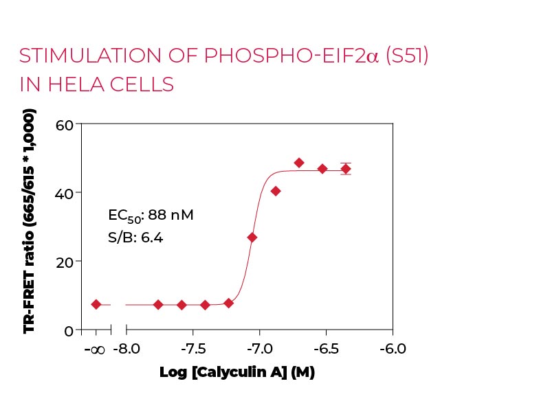 Stimulation of Phospho-eIF2α (S51) in Hela cells Stimulation of Phospho-eIF2α (S51) in Hela cells