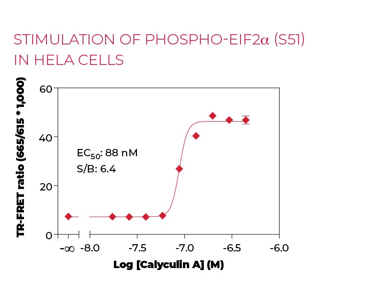 Stimulation of Phospho-eIF2α (S51) in Hela cells